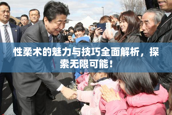 性柔术的魅力与技巧全面解析，探索无限可能！