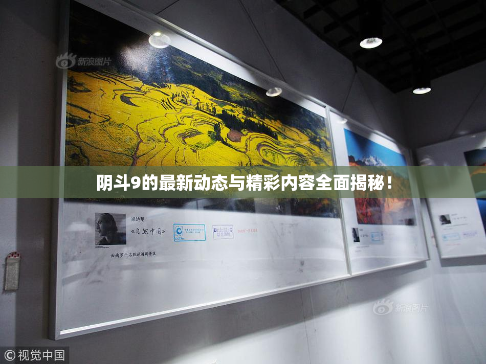 阴斗9的最新动态与精彩内容全面揭秘！