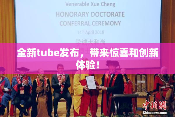 全新tube发布，带来惊喜和创新体验！