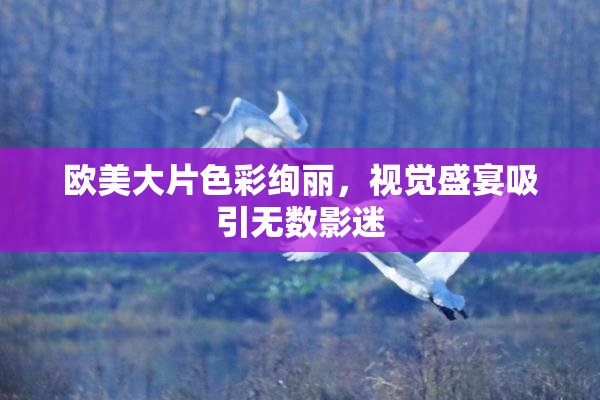 欧美大片色彩绚丽，视觉盛宴吸引无数影迷