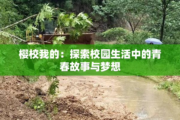 樱校我的：探索校园生活中的青春故事与梦想