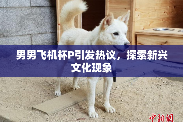 男男飞机杯P引发热议，探索新兴文化现象