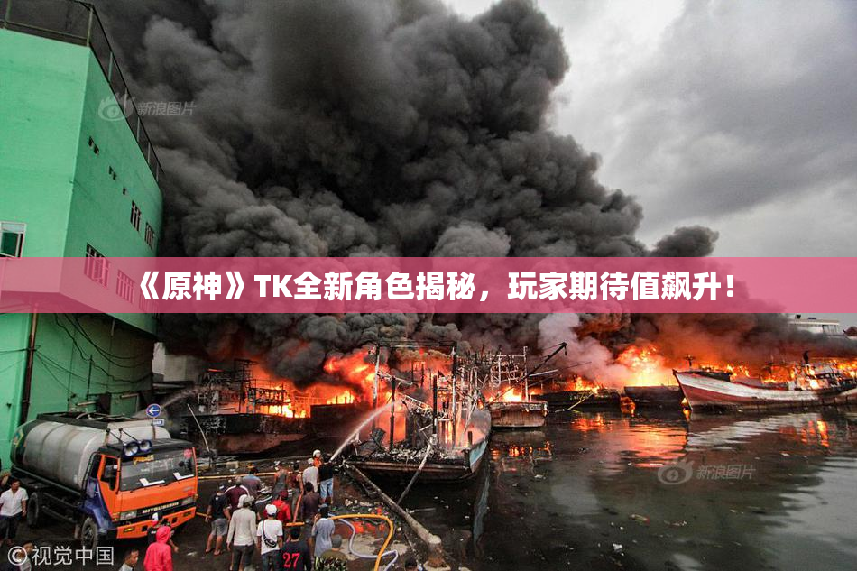 《原神》TK全新角色揭秘，玩家期待值飙升！