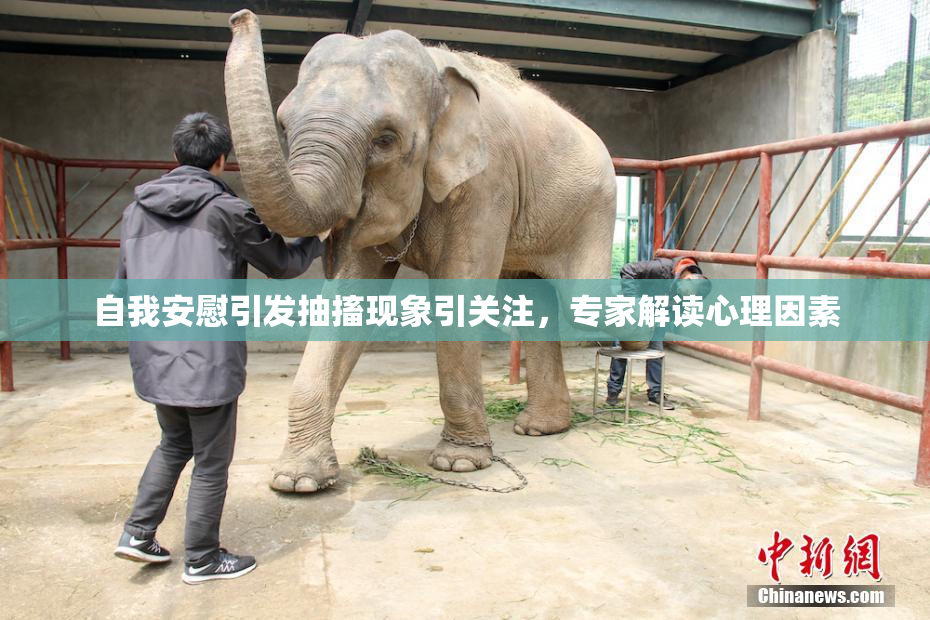 自我安慰引发抽搐现象引关注，专家解读心理因素