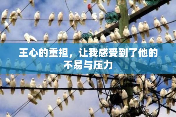 王心的重担，让我感受到了他的不易与压力