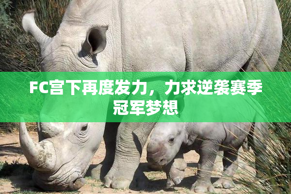 FC宫下再度发力，力求逆袭赛季冠军梦想