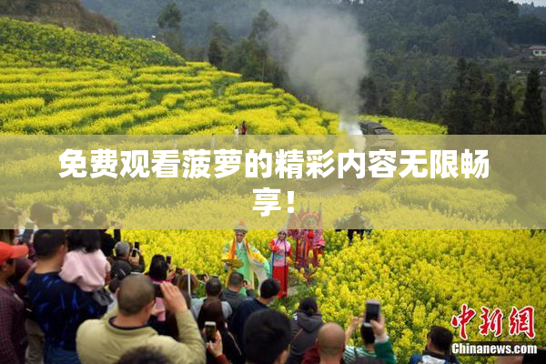 免费观看菠萝的精彩内容无限畅享！