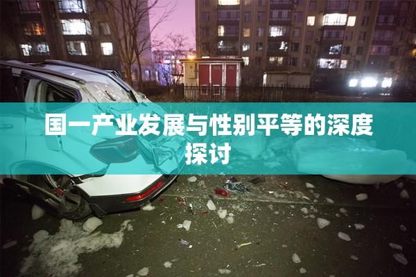 国一产业发展与性别平等的深度探讨