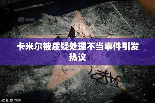 卡米尔被质疑处理不当事件引发热议