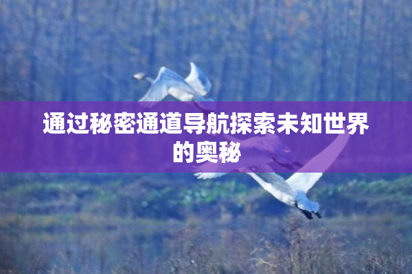 通过秘密通道导航探索未知世界的奥秘