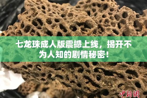 七龙珠成人版震撼上线，揭开不为人知的剧情秘密！