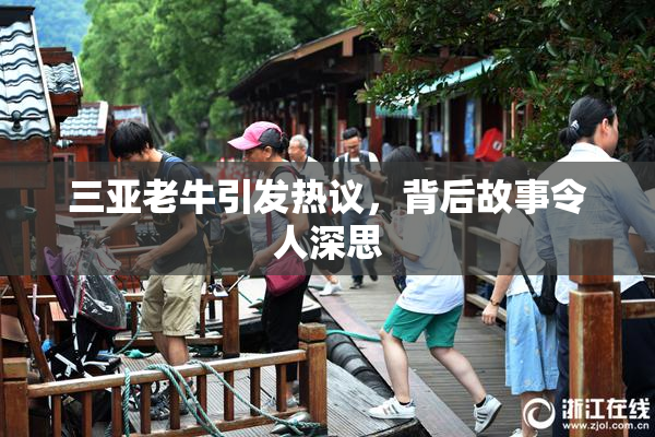 三亚老牛引发热议，背后故事令人深思