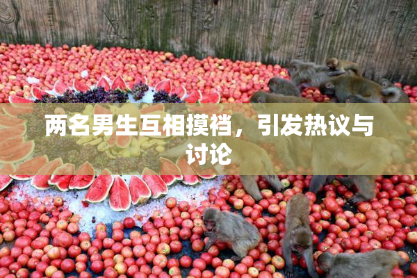 两名男生互相摸裆，引发热议与讨论