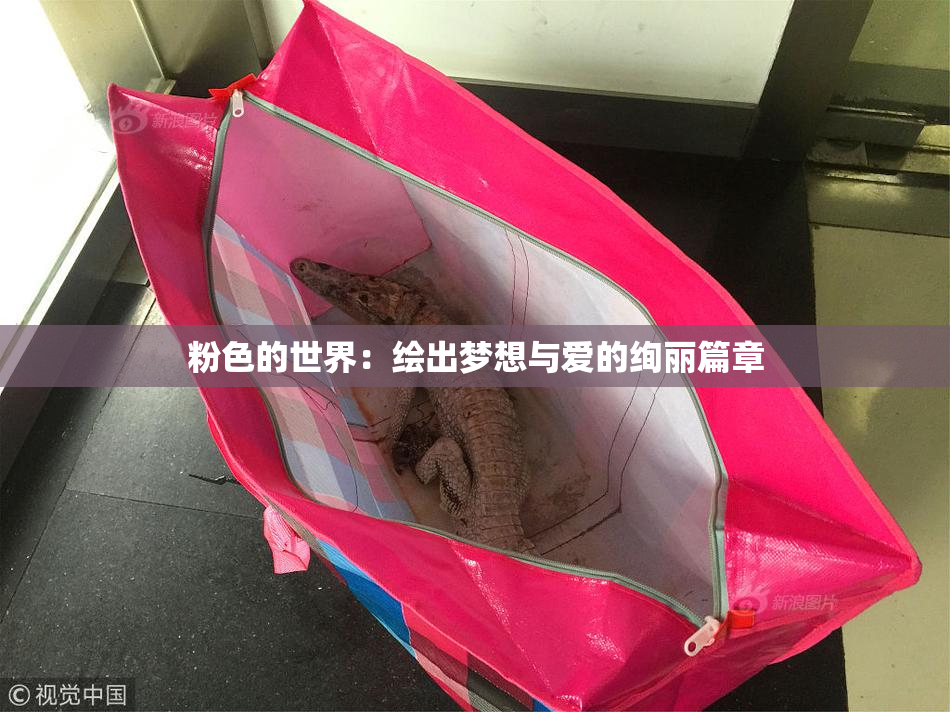 粉色的世界：绘出梦想与爱的绚丽篇章