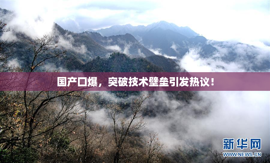 国产囗爆，突破技术壁垒引发热议！