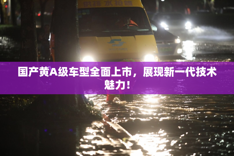 国产黄A级车型全面上市，展现新一代技术魅力！