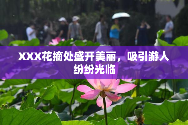 XXX花摘处盛开美丽，吸引游人纷纷光临