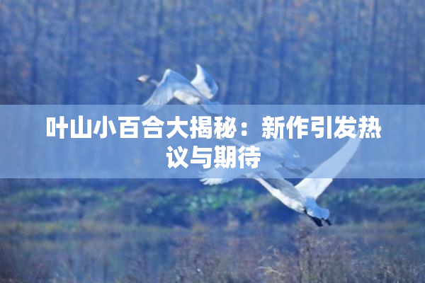 叶山小百合大揭秘：新作引发热议与期待