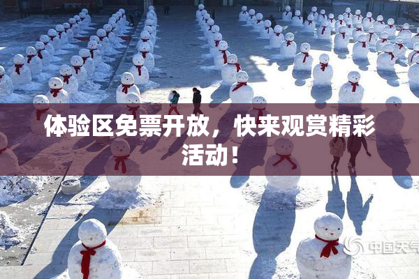 体验区免票开放，快来观赏精彩活动！