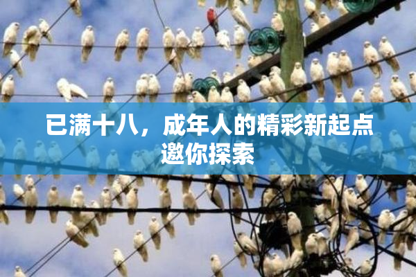 已满十八，成年人的精彩新起点邀你探索