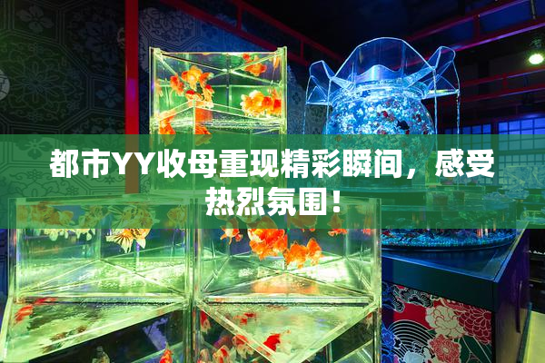 都市YY收母重现精彩瞬间，感受热烈氛围！