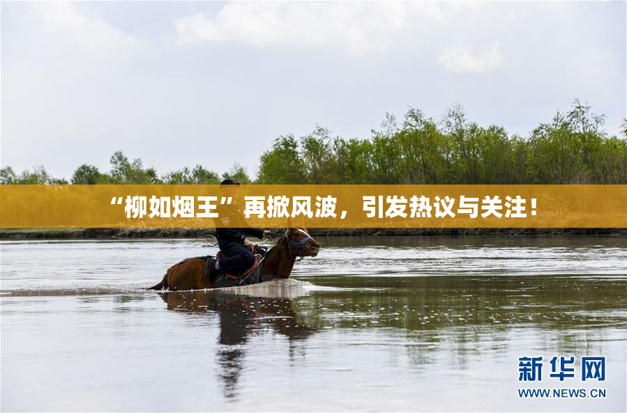 “柳如烟王”再掀风波，引发热议与关注！