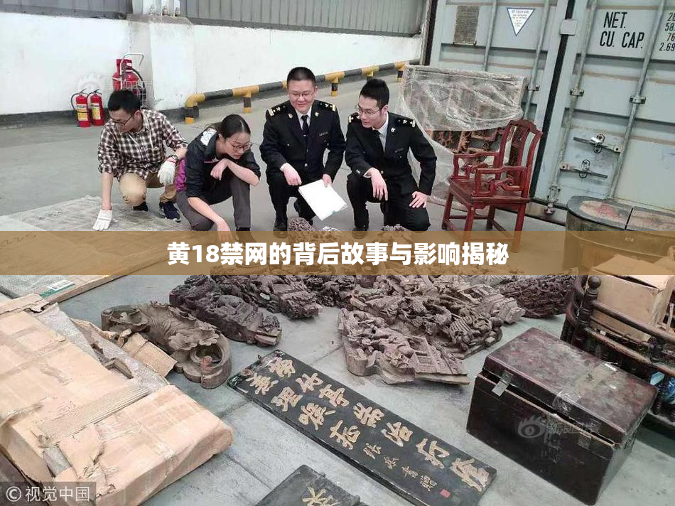 黄18禁网的背后故事与影响揭秘