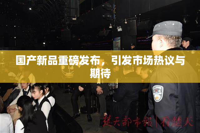 国产新品重磅发布，引发市场热议与期待