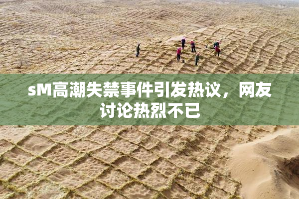 sM高潮失禁事件引发热议，网友讨论热烈不已