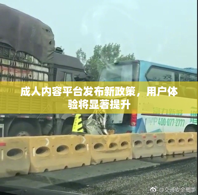 成人内容平台发布新政策，用户体验将显著提升