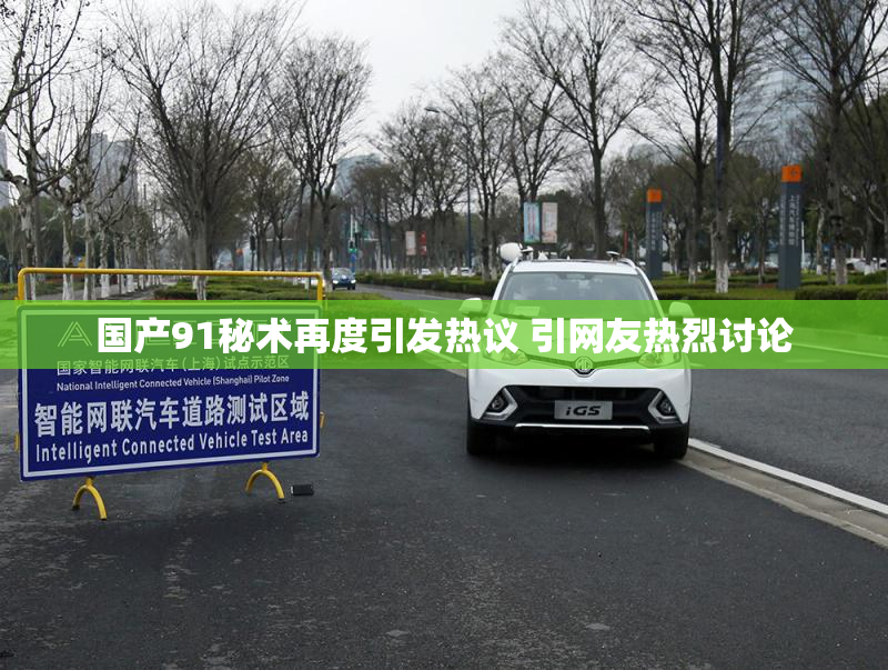 国产91秘术再度引发热议 引网友热烈讨论