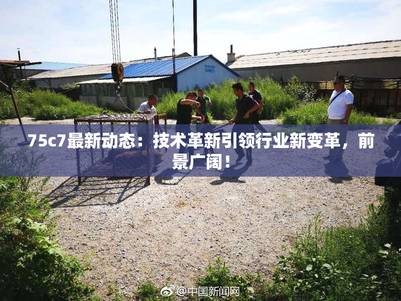 75c7最新动态：技术革新引领行业新变革，前景广阔！