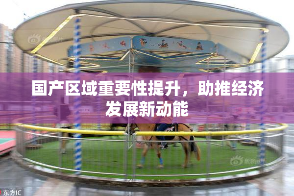 国产区域重要性提升，助推经济发展新动能