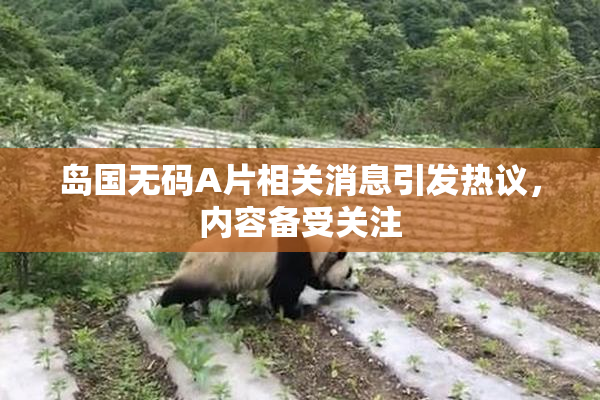 岛国无码A片相关消息引发热议，内容备受关注