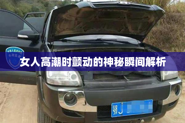 女人高潮时颤动的神秘瞬间解析