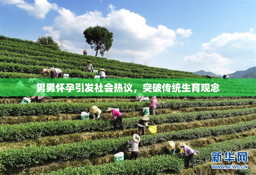 男男怀孕引发社会热议，突破传统生育观念
