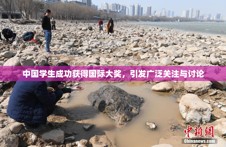 中国学生成功获得国际大奖，引发广泛关注与讨论