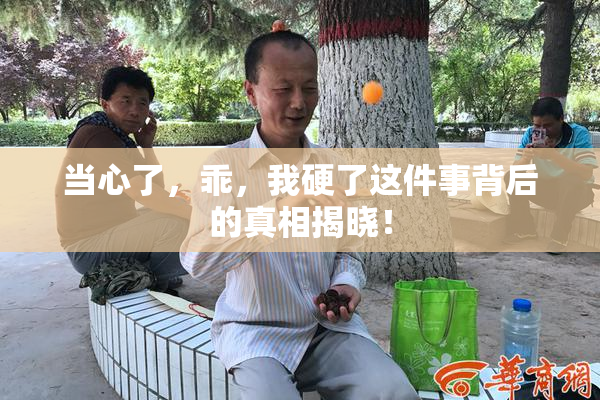 当心了，乖，我硬了这件事背后的真相揭晓！