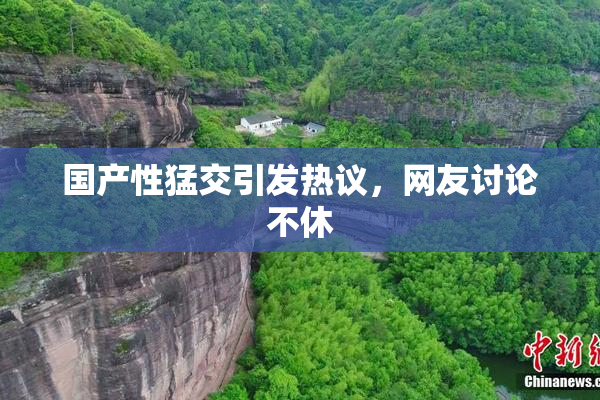 国产性猛交引发热议，网友讨论不休