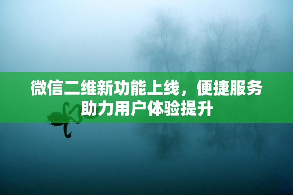 微信二维新功能上线，便捷服务助力用户体验提升