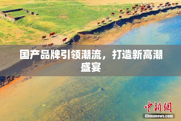 国产品牌引领潮流，打造新高潮盛宴