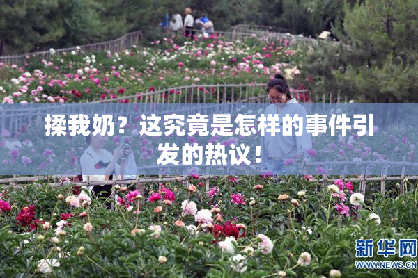 揉我奶？这究竟是怎样的事件引发的热议！