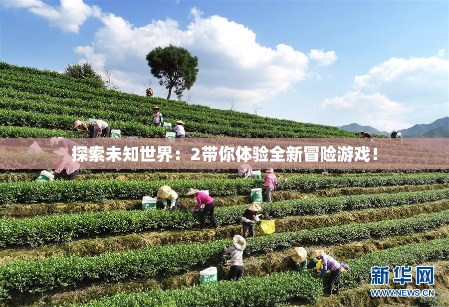 探索未知世界：2带你体验全新冒险游戏！