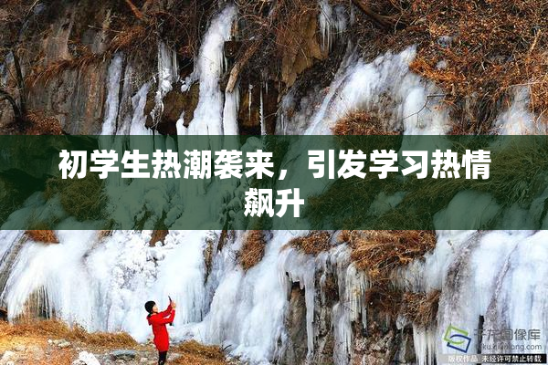 初学生热潮袭来，引发学习热情飙升