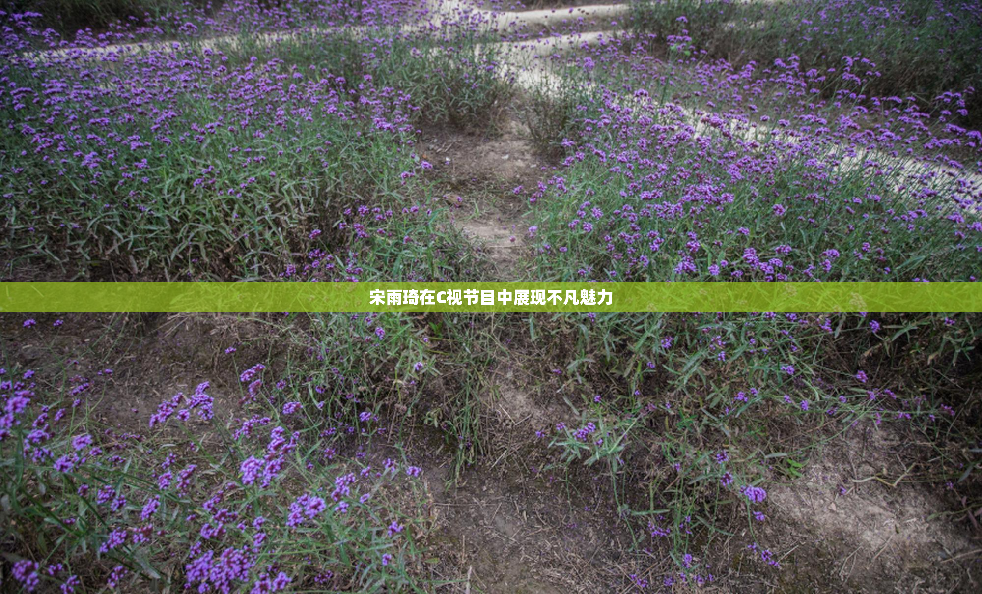 宋雨琦在C视节目中展现不凡魅力