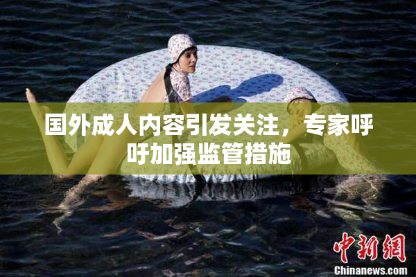 国外成人内容引发关注，专家呼吁加强监管措施