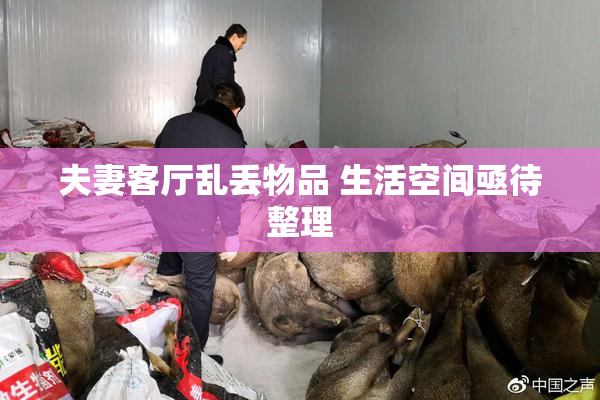 夫妻客厅乱丢物品 生活空间亟待整理
