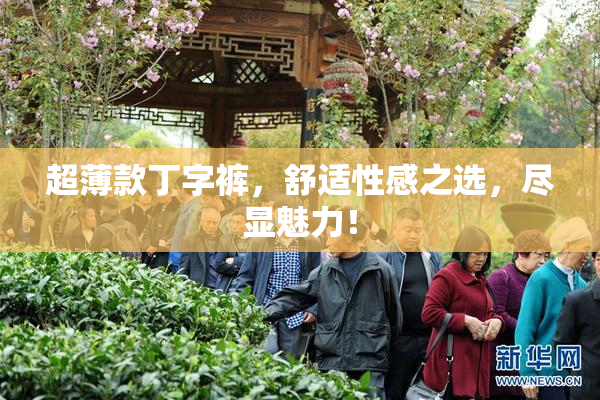 超薄款丁字裤，舒适性感之选，尽显魅力！