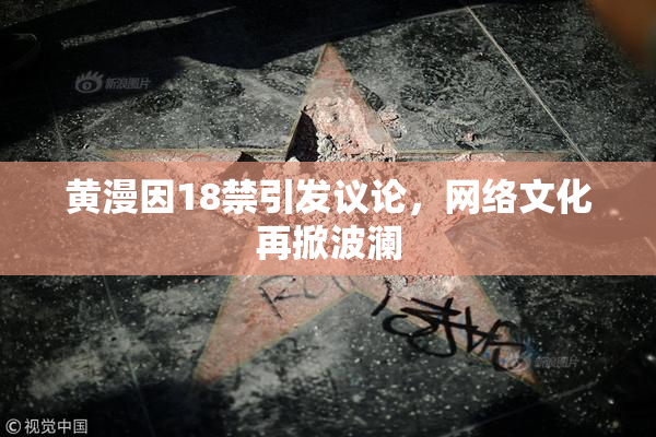 黄漫因18禁引发议论，网络文化再掀波澜