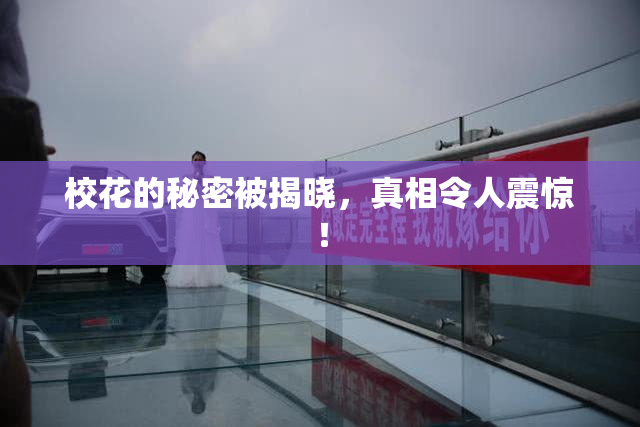 校花的秘密被揭晓，真相令人震惊！